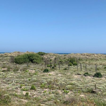 Mon Petit Paradis, Vue Sur Dunes Et Mer, Acces Direct Plage Robinson, Terrasse, Parking Prive, Tres Ressourcant, A Marseillan Plage Luaran gambar