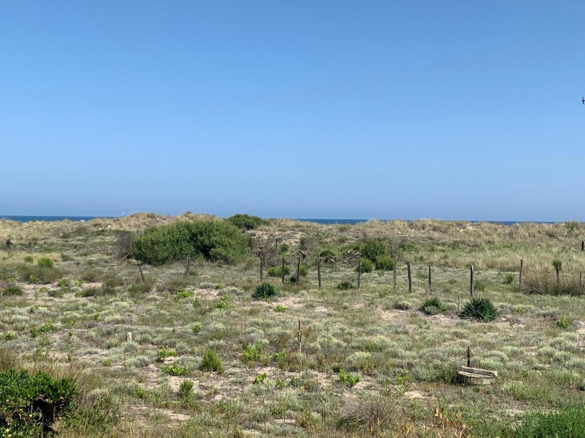Mon Petit Paradis, Vue Sur Dunes Et Mer, Acces Direct Plage Robinson, Terrasse, Parking Prive, Tres Ressourcant, A Marseillan Plage Luaran gambar
